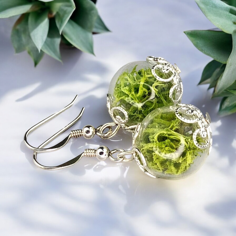 Les boucles d'oreilles de Moos-925 Sterling Argent Argent-Terrarium Terrarium-auriculiers-OHR925-10