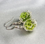 Les boucles d'oreilles de Moos-925 Sterling Argent Argent-Terrarium Terrarium-auriculiers-OHR925-10