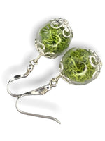 Les boucles d'oreilles de Moos-925 Sterling Argent Argent-Terrarium Terrarium-auriculiers-OHR925-10