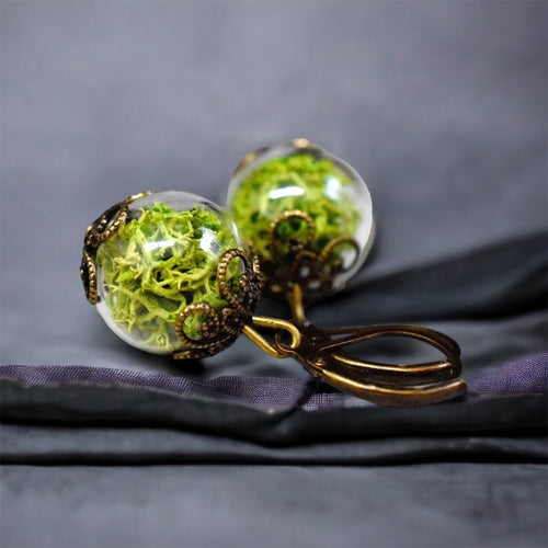 Véritables boucles d'oreilles Moos - Boucles d'oreilles végétaux de l'île verte - Vinohr-17