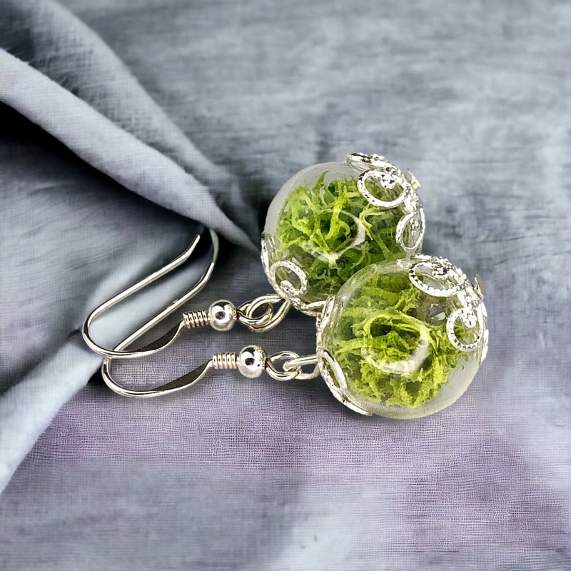 Les boucles d'oreilles de Moos-925 Sterling Argent Argent-Terrarium Terrarium-auriculiers-OHR925-10